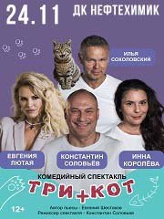 Три плюс кот