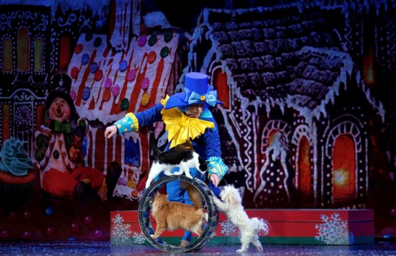 &Mcy;&ocy;&scy;&kcy;&ocy;&vcy;&scy;&kcy;&icy;&jcy; &tcy;&iecy;&acy;&tcy;&rcy; &Kcy;&ocy;&shcy;&iecy;&kcy; &Vcy;&period; &Kcy;&ucy;&kcy;&lcy;&acy;&chcy;&iocy;&vcy;&acy; &mdash; &laquo;&SHCHcy;&iecy;&lcy;&kcy;&ucy;&ncy;&chcy;&icy;&kcy; &icy; &Kcy;&ocy;&shcy;&kcy;&icy;&raquo;