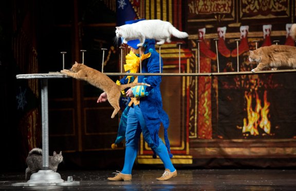 &Mcy;&ocy;&scy;&kcy;&ocy;&vcy;&scy;&kcy;&icy;&jcy; &tcy;&iecy;&acy;&tcy;&rcy; &Kcy;&ocy;&shcy;&iecy;&kcy; &Vcy;&period; &Kcy;&ucy;&kcy;&lcy;&acy;&chcy;&iocy;&vcy;&acy; &mdash; &laquo;&SHCHcy;&iecy;&lcy;&kcy;&ucy;&ncy;&chcy;&icy;&kcy; &icy; &Kcy;&ocy;&shcy;&kcy;&icy;&raquo;