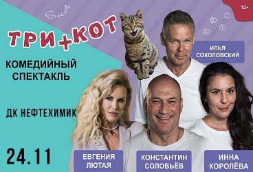 Три плюс кот