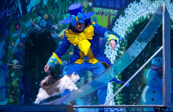 &Mcy;&ocy;&scy;&kcy;&ocy;&vcy;&scy;&kcy;&icy;&jcy; &tcy;&iecy;&acy;&tcy;&rcy; &Kcy;&ocy;&shcy;&iecy;&kcy; &Vcy;&period; &Kcy;&ucy;&kcy;&lcy;&acy;&chcy;&iocy;&vcy;&acy; &mdash; &laquo;&SHCHcy;&iecy;&lcy;&kcy;&ucy;&ncy;&chcy;&icy;&kcy; &icy; &Kcy;&ocy;&shcy;&kcy;&icy;&raquo;