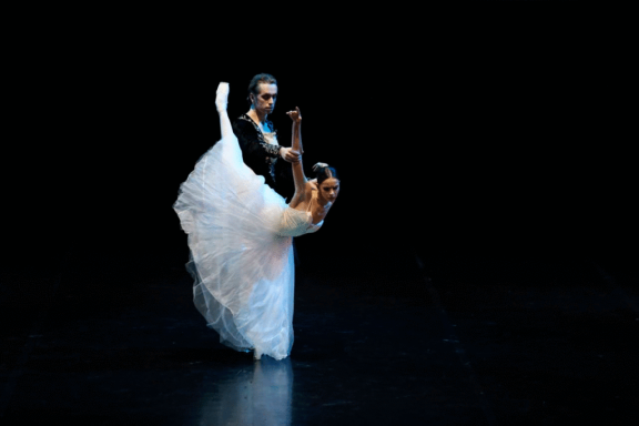 Звезды Санкт-Петербургского балета. Лебединое озеро